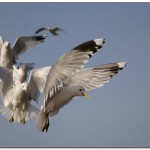 405KoTillInflygningen