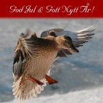 God Jul