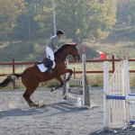 Hasthoppning12