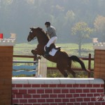 Hasthoppning17