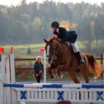 Hasthoppning6