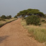 MorgonISerengeti2