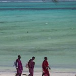 beachboys