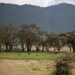 kratern1