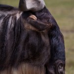 kratern_gnuprofil