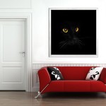 Tavla The Eyes