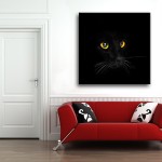 The Cat