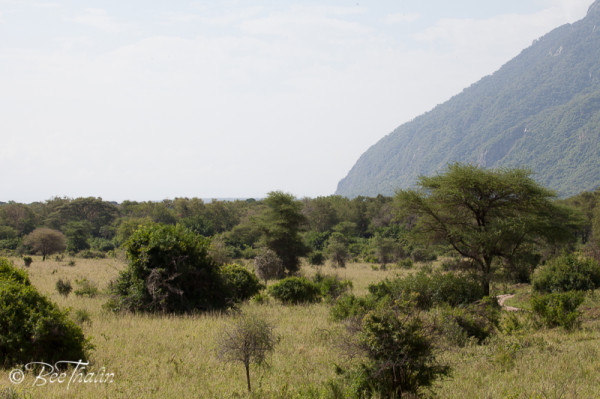 Lake Manyara, Tanzania