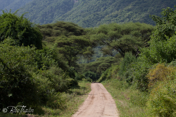 Lake Manyara, Tanzania