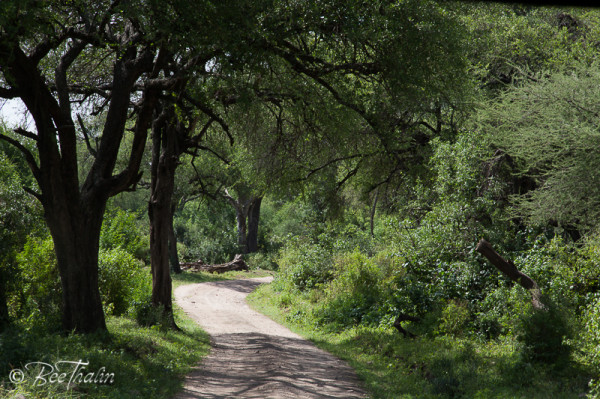 Lake Manyara, Tanzania