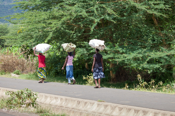 Tanzania