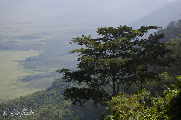 Ngorongoro area
