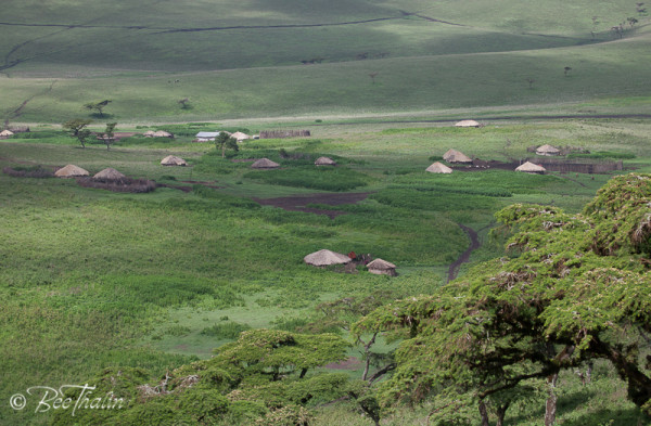 Ngorongoro area