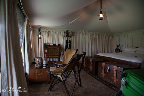 Pioneer tent camp, tanzania