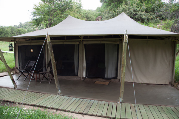 Pioneer tent camp, tanzania