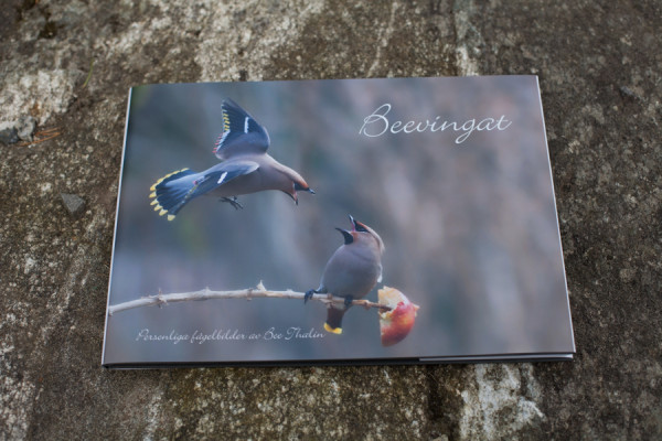 Fågelboken Beevingat, personliga fågelbilder av Bee Thalin