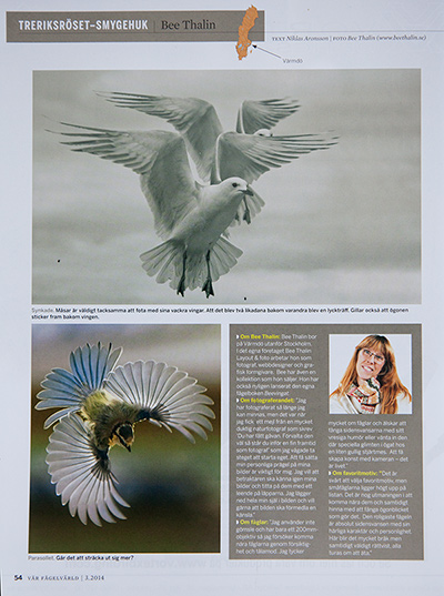 Vår fågelvärld, uppslag sid 1