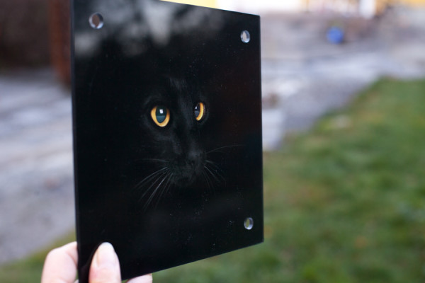 The eyes i plexiglas