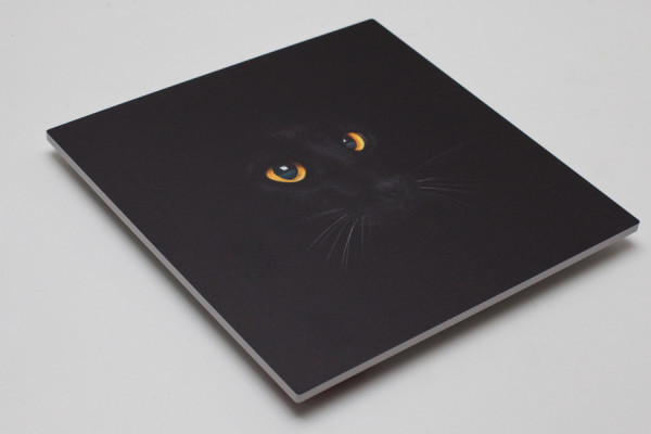 The eyes i skumplastskiva