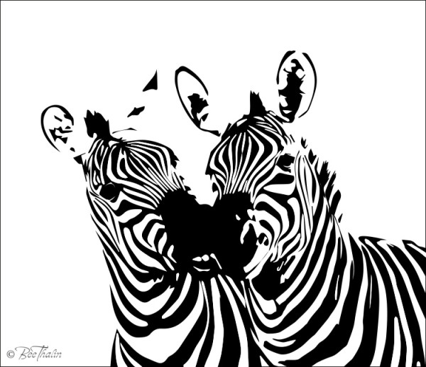 Zebra naggar