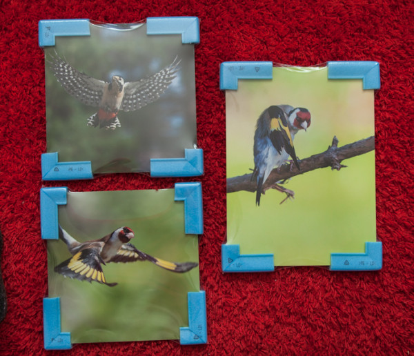 konsttavlor fågelmotiv