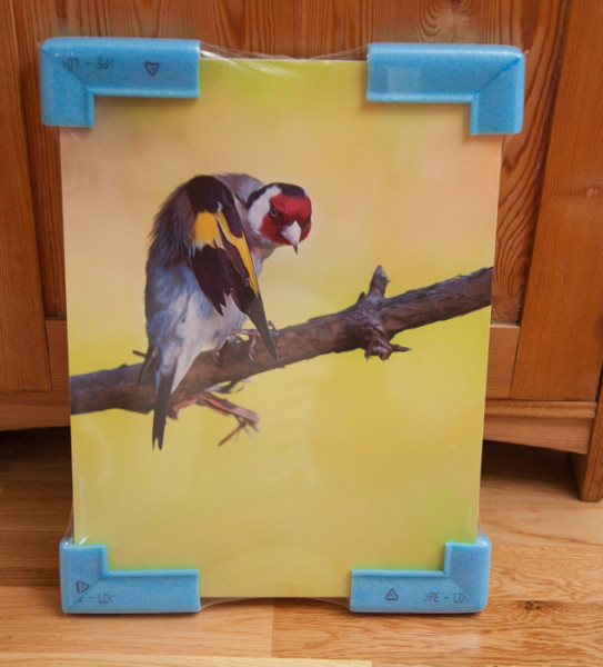 konsttavla fågelmotiv