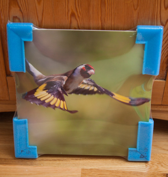 konsttavla fågelmotiv