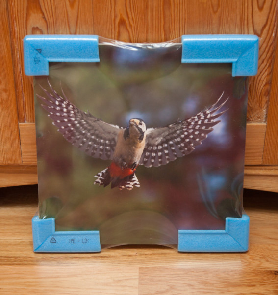 konsttavla fågelmotiv